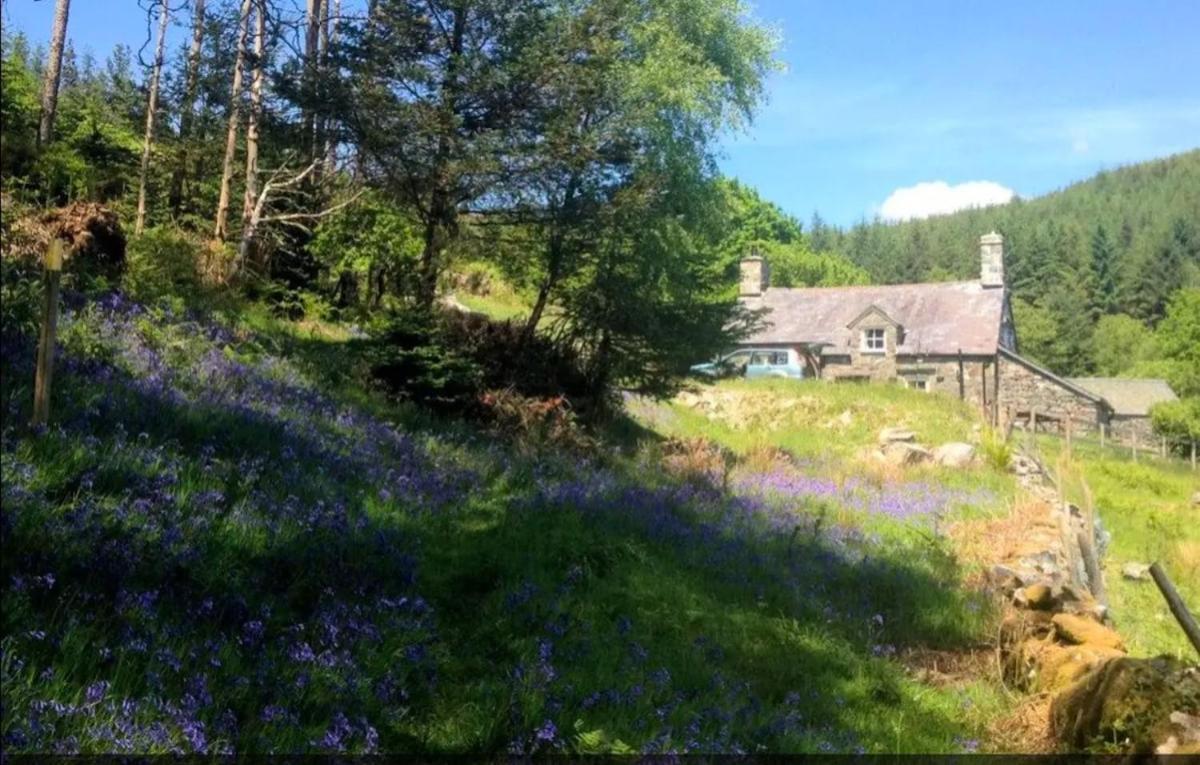 Tyn Y Simdde - Secluded Mountain Stay - Stunning Views Of Eryri Dolgellau Exterior foto