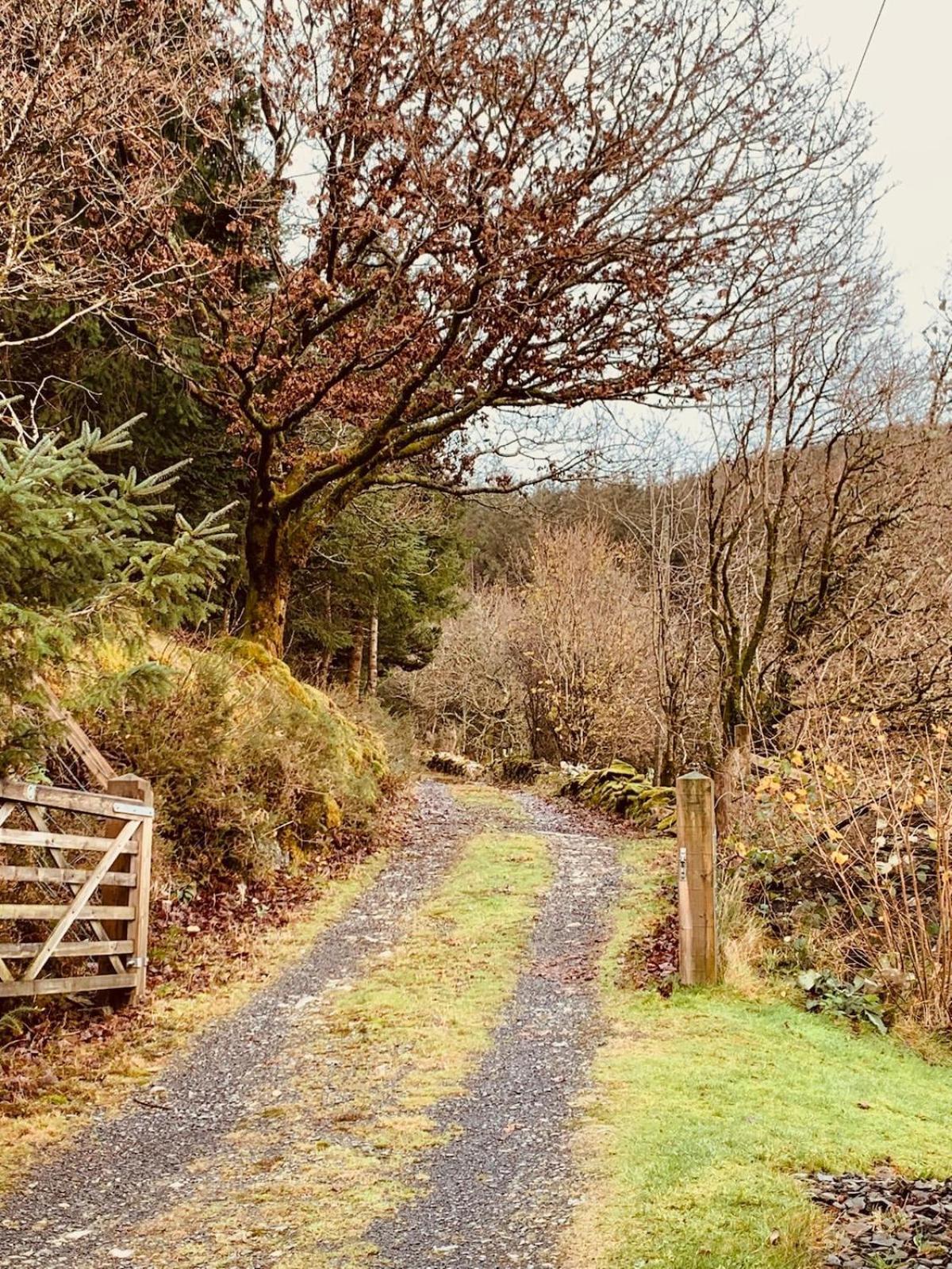 Tyn Y Simdde - Secluded Mountain Stay - Stunning Views Of Eryri Dolgellau Exterior foto