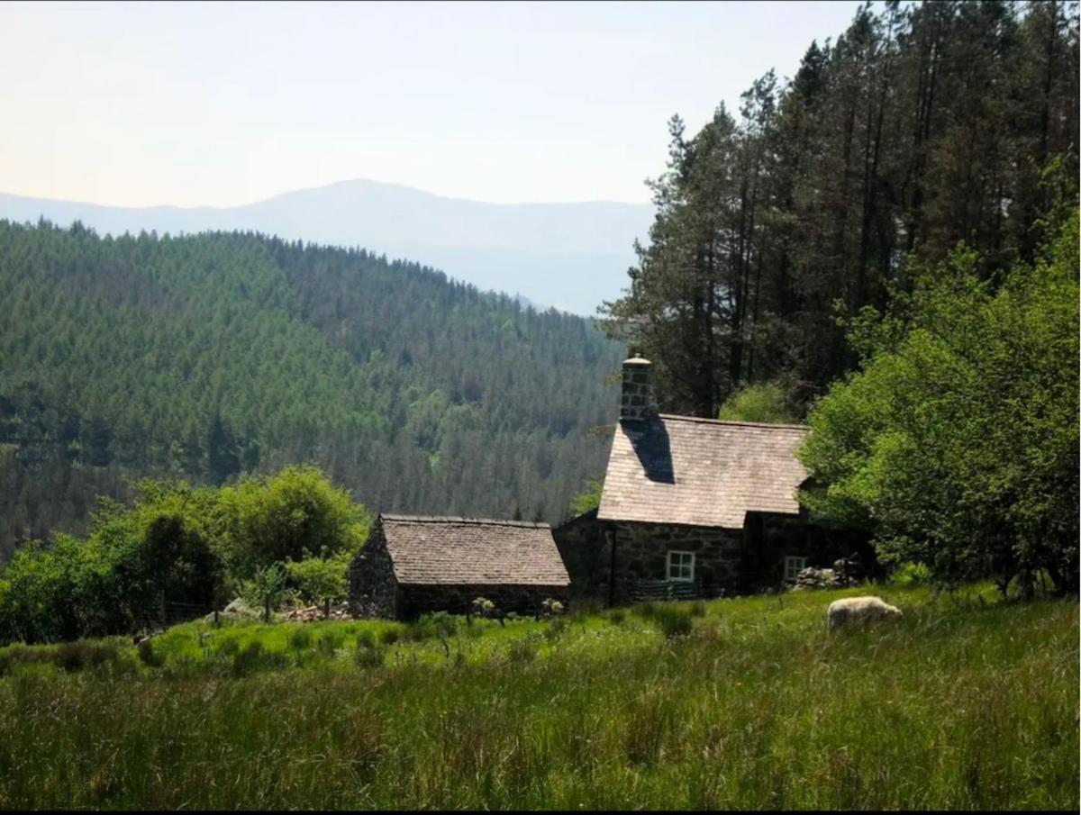 Tyn Y Simdde - Secluded Mountain Stay - Stunning Views Of Eryri Dolgellau Exterior foto